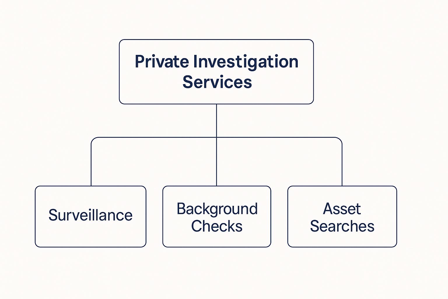 Private investigation services