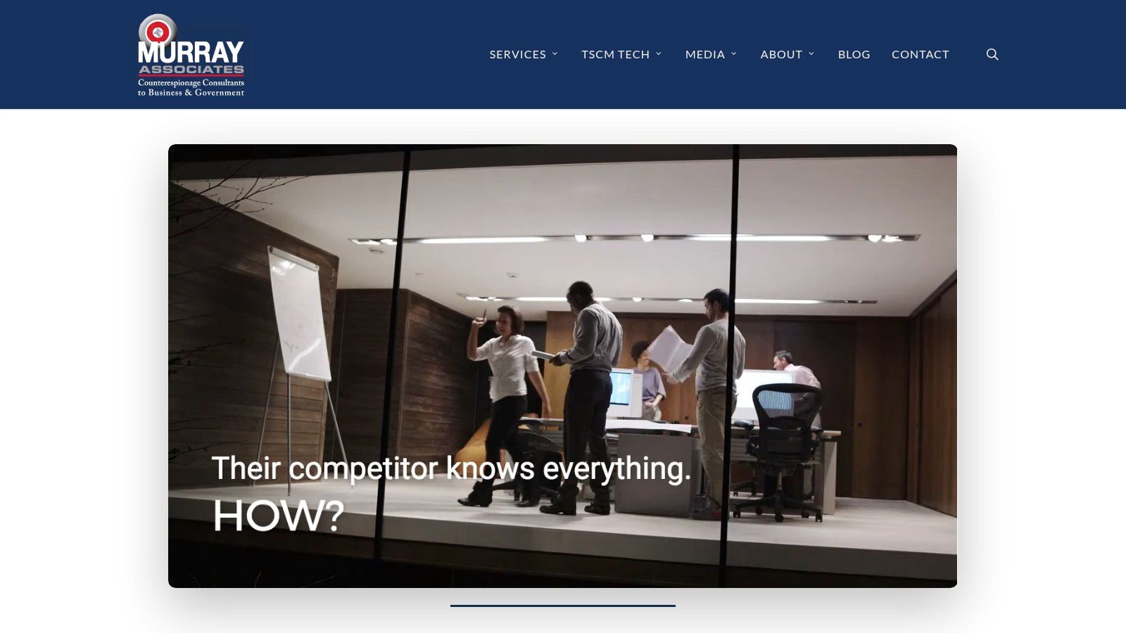 Murray Associates Website