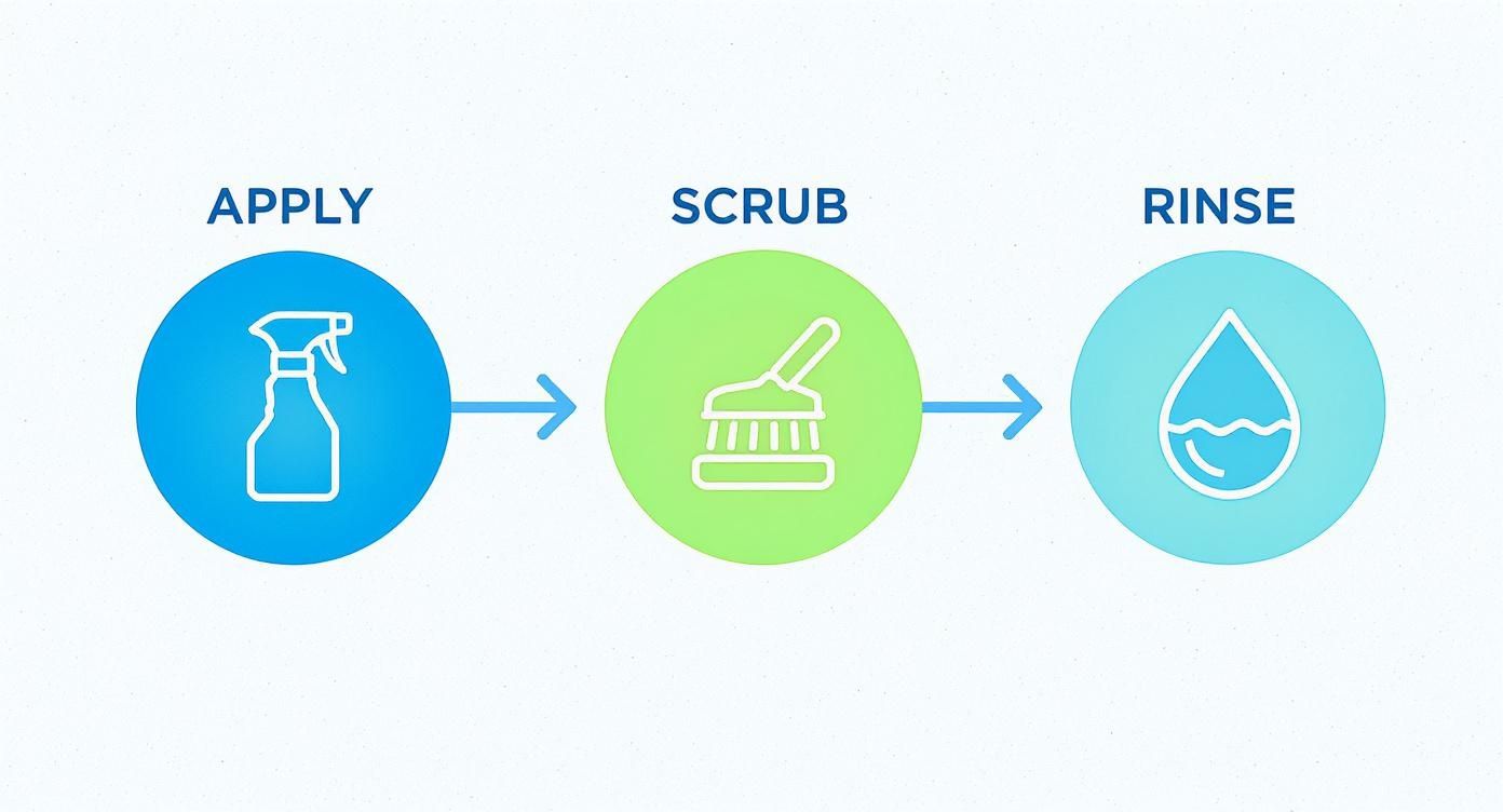 Infographic about how to clean area rugs at home
