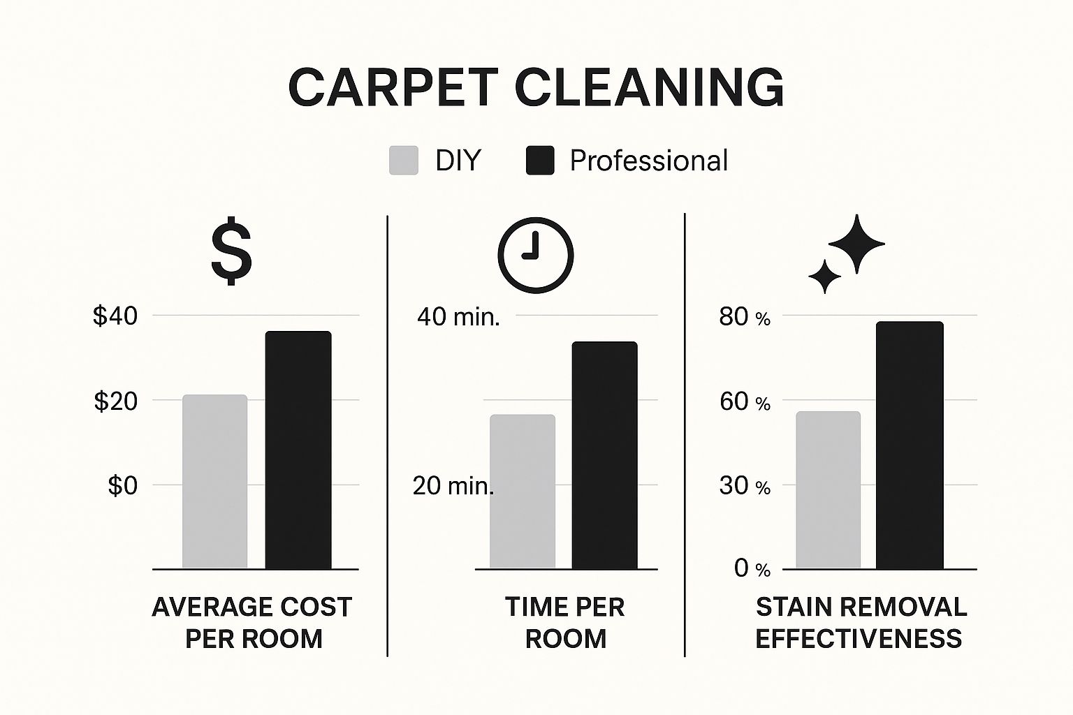 Infographic about professional carpet cleaning vs diy