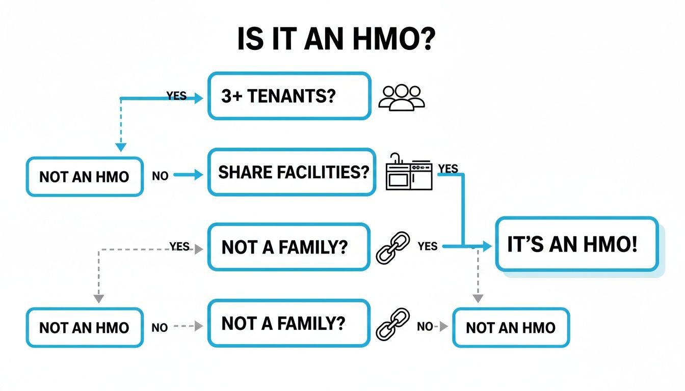 Flowchart explaining the criteria for a House in Multiple Occupation (HMO) based on tenants, shared facilities, and family status.