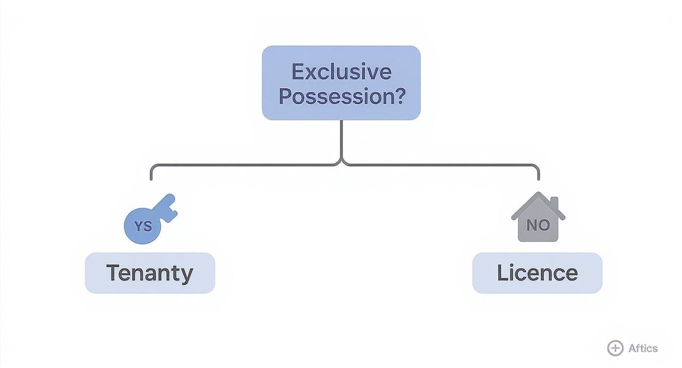 A flowchart illustrating the legal distinction between tenancy and licence based on exclusive possession.