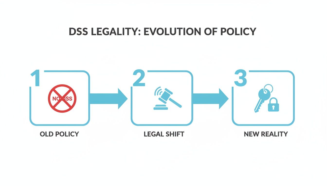 Infographic illustrating the evolution of DSS legality policy through an old policy, legal shift, and new reality.