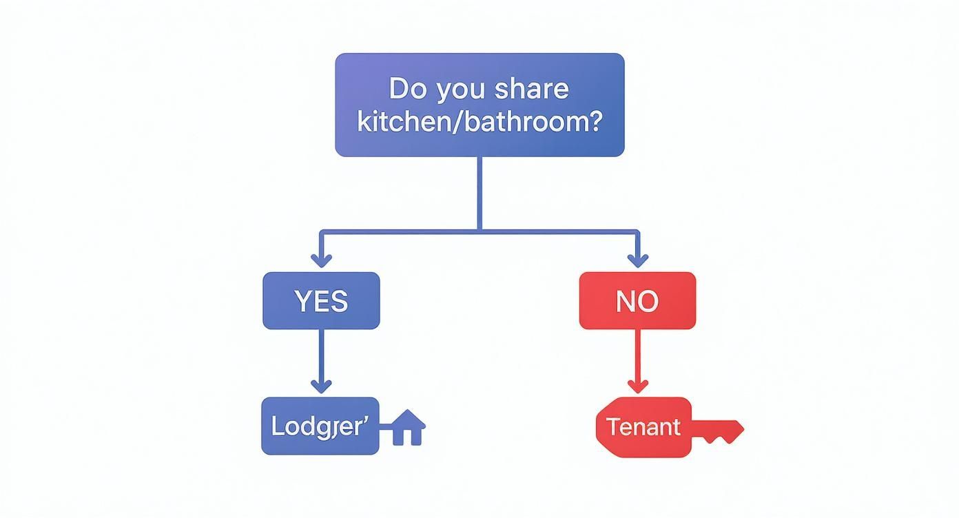 Decision tree flowchart explaining the difference between a lodger and a tenant based on sharing facilities.