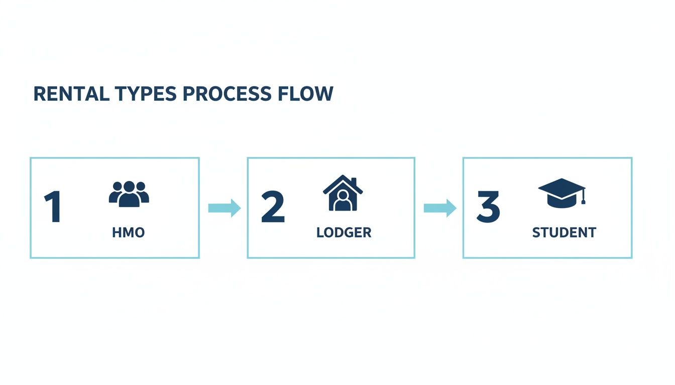A process flow diagram shows three rental types: HMO, Lodger, and Student, connected by arrows.