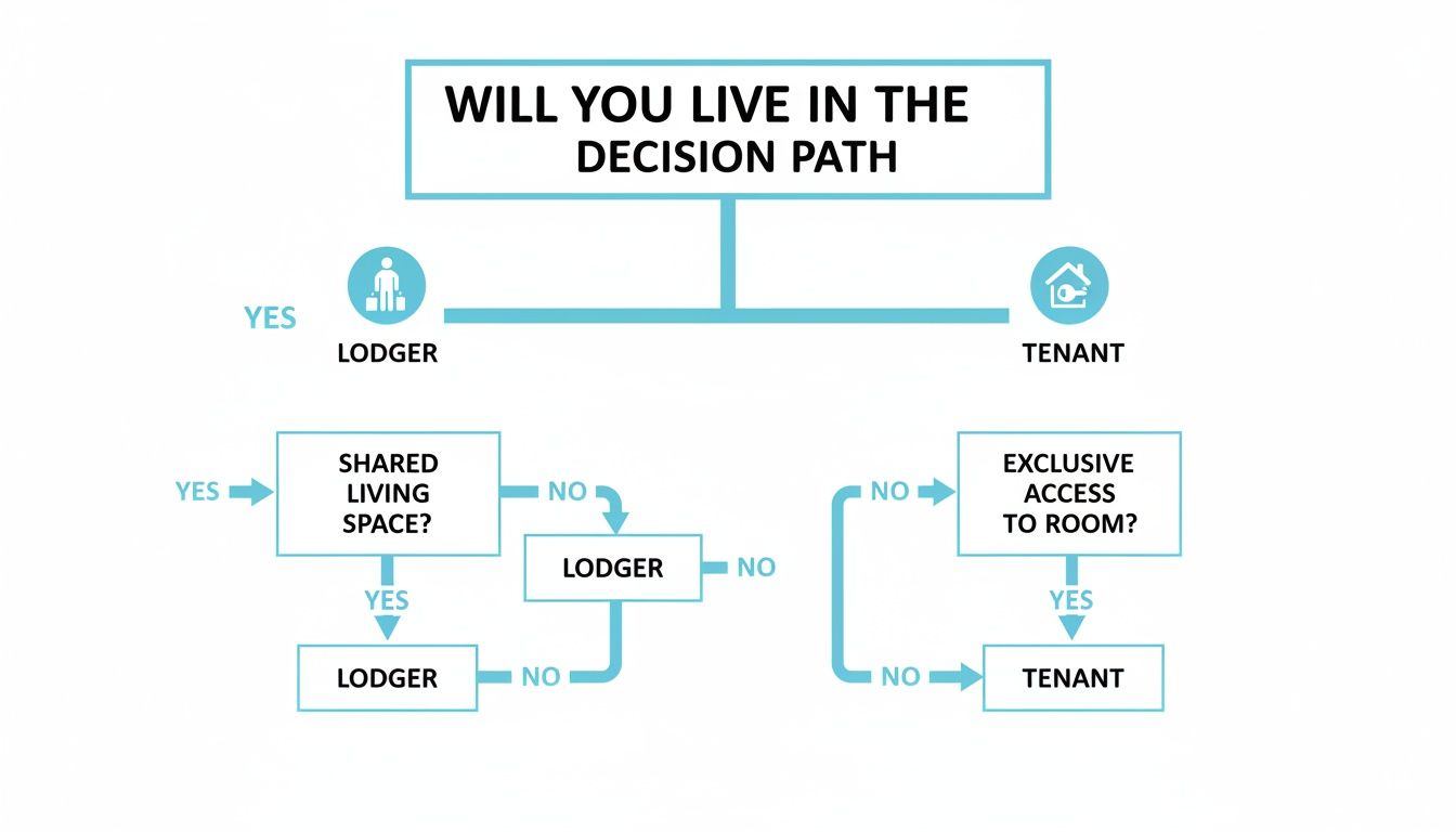 A flowchart illustrating the steps to distinguish between a lodger and a tenant in rental agreements.