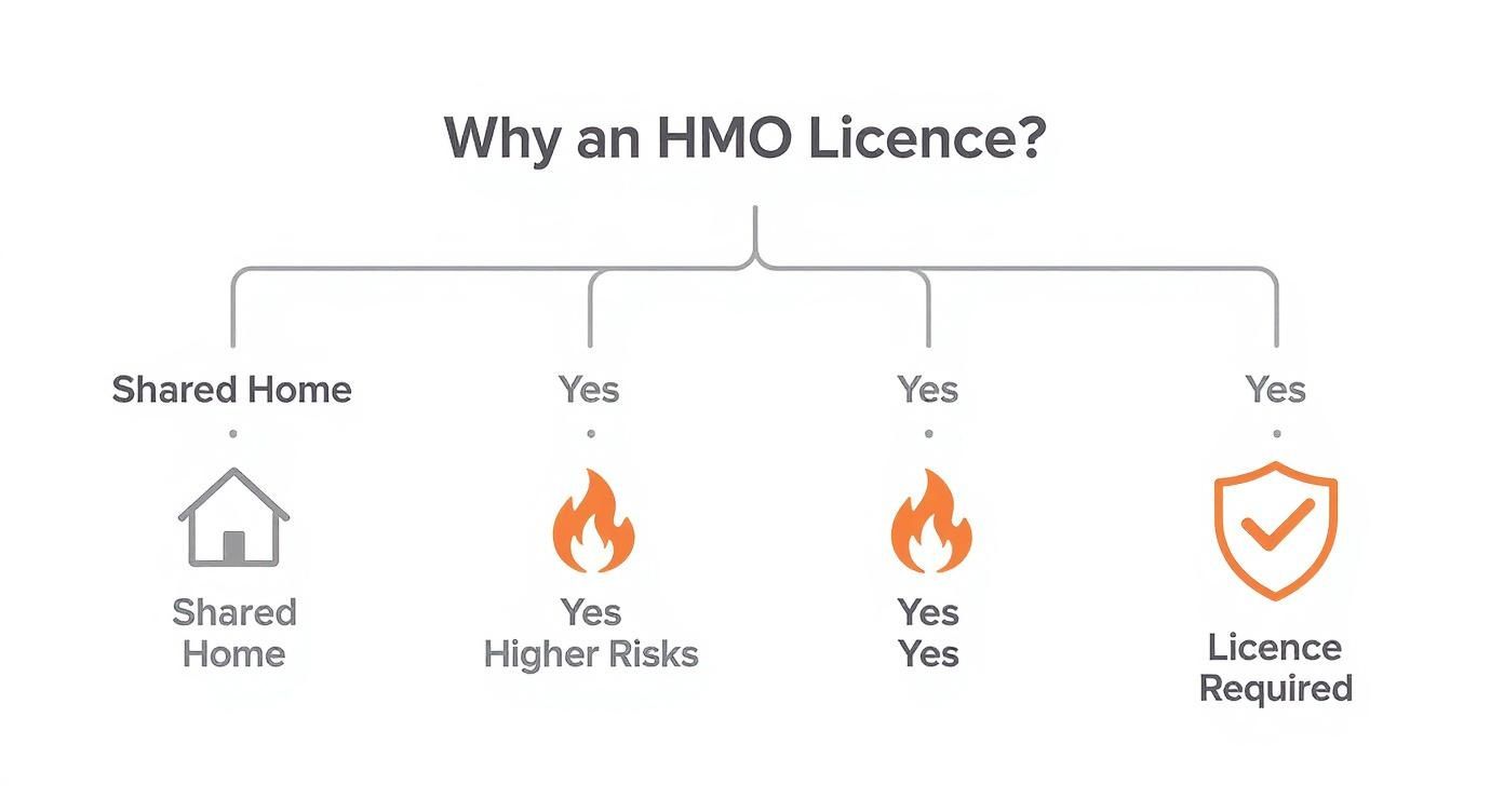A diagram titled 'Why an HMO Licence?' explaining that shared homes have higher risks, therefore requiring a license.