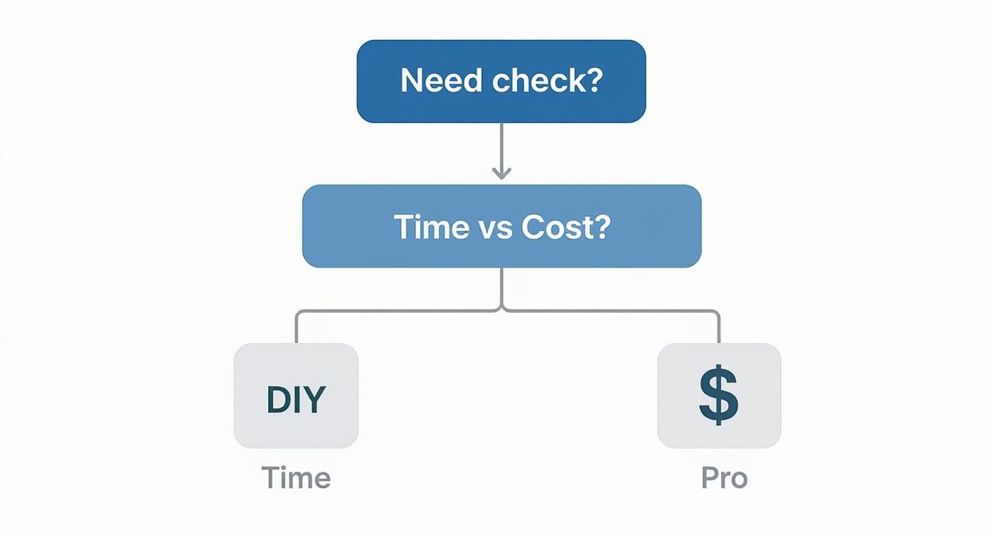 Infographic about tenancy reference check