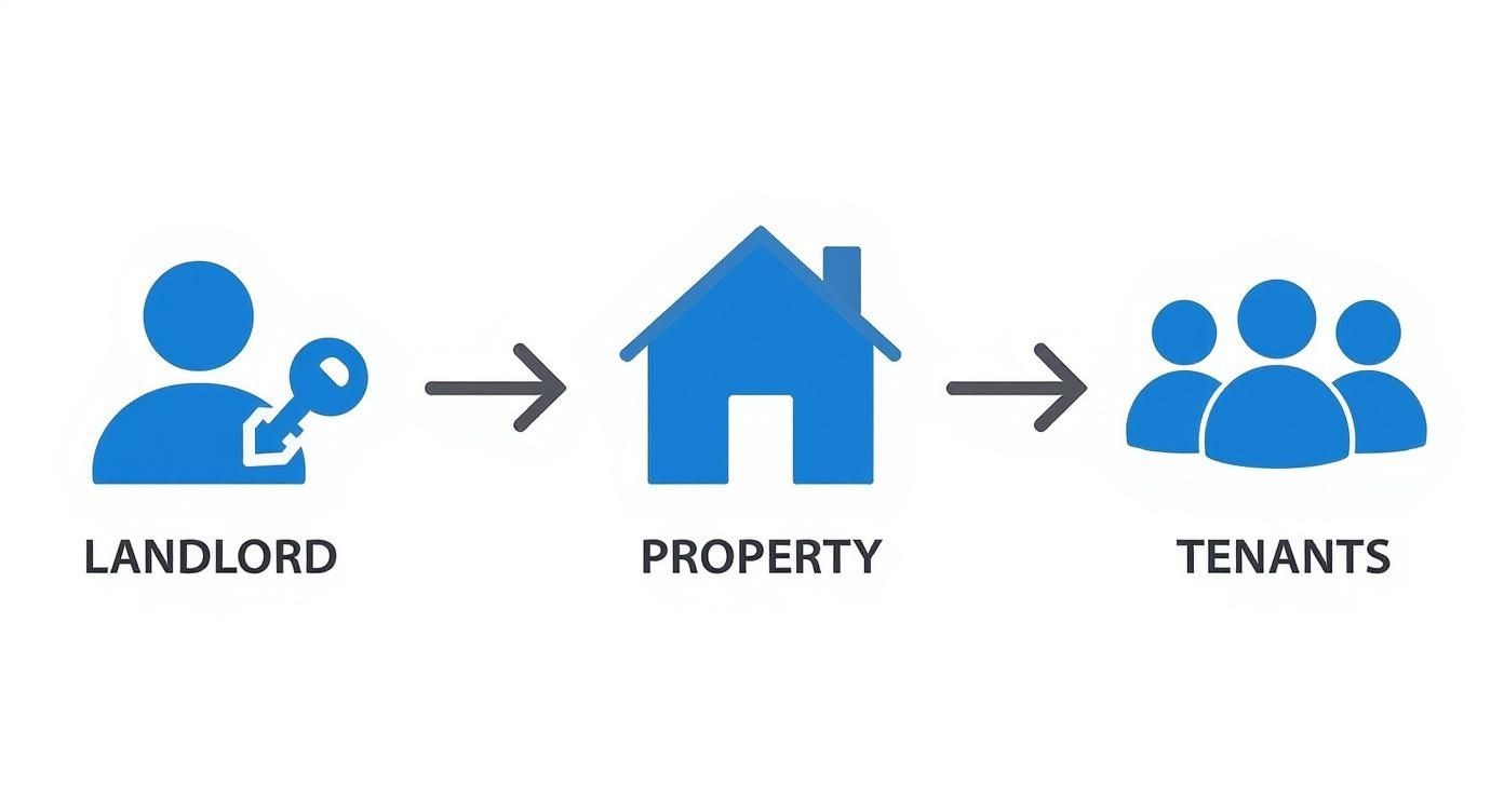 Infographic about what is right to rent check