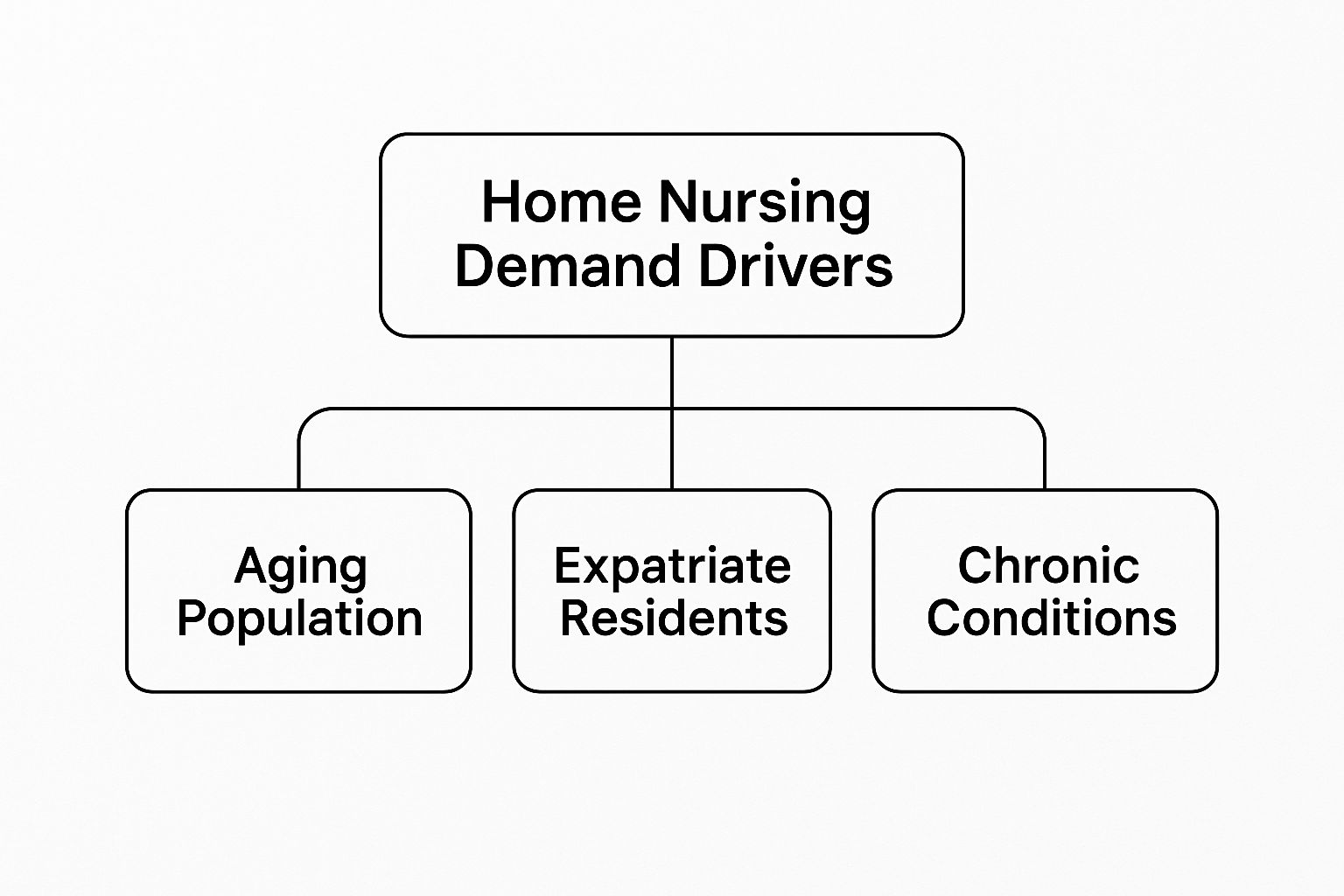 Infographic about home nurse service