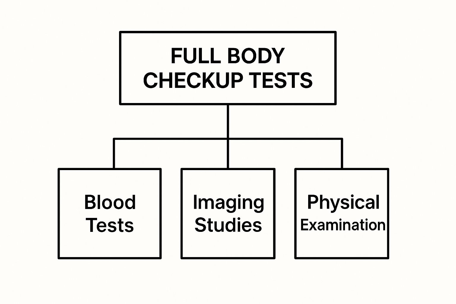 Infographic about full body health checkup