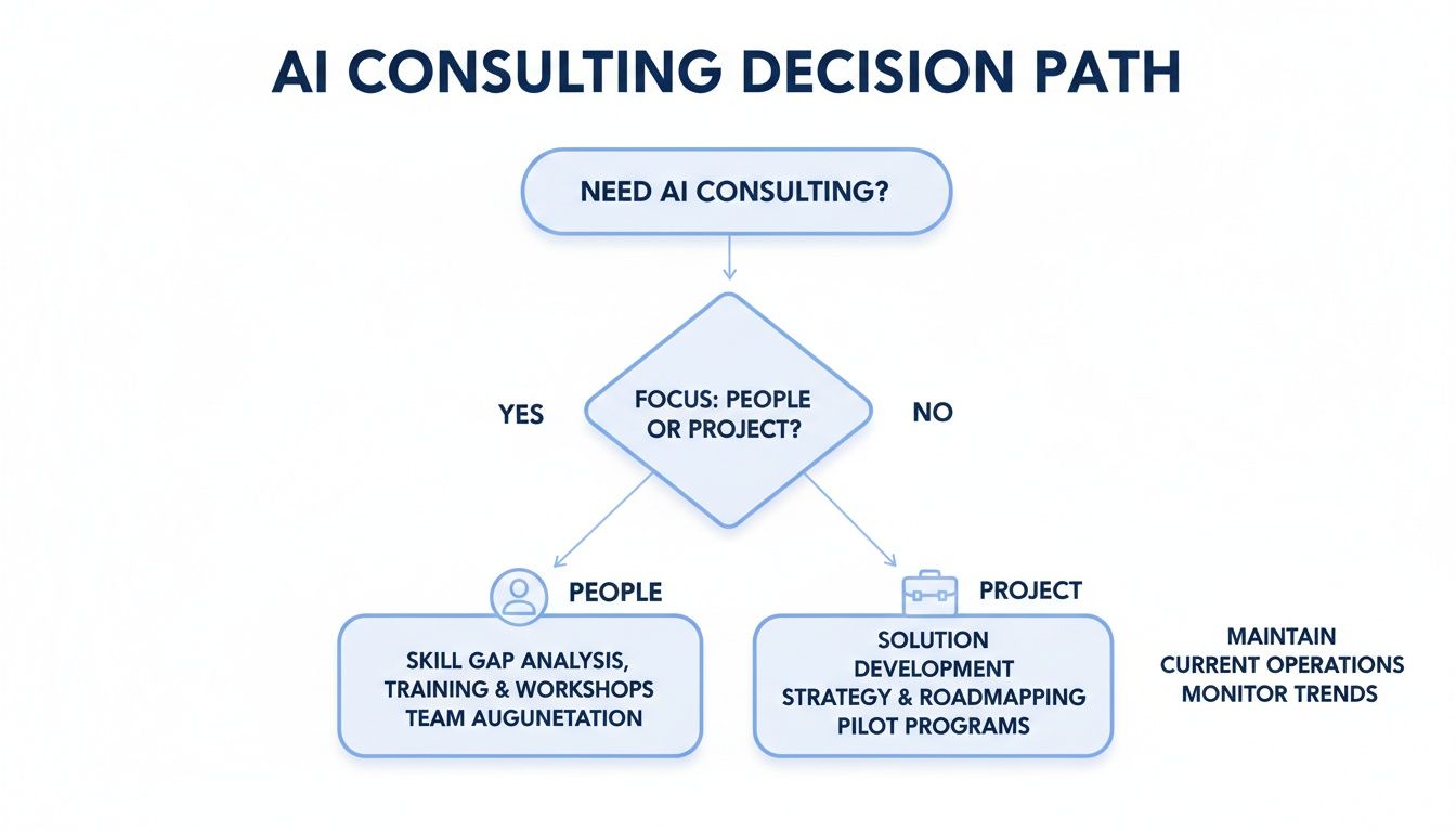 Flowchart outlining the AI consulting decision path, guiding choices based on people or project focus.