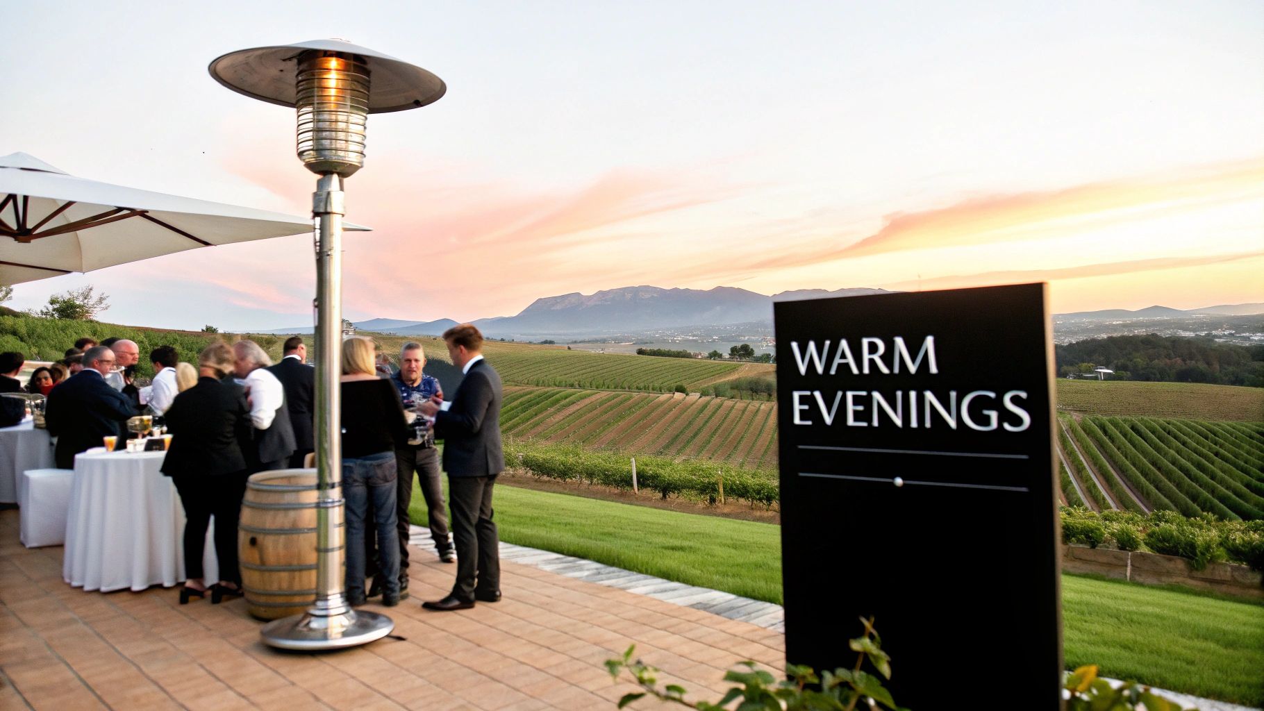 An outdoor evening event with people socializing next to a gas patio heater, overlooking a vineyard at sunset.