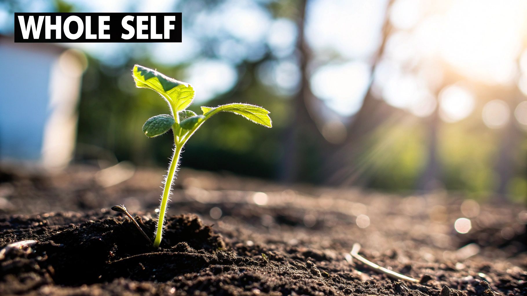 Woman meditating peacefully in a natural setting.