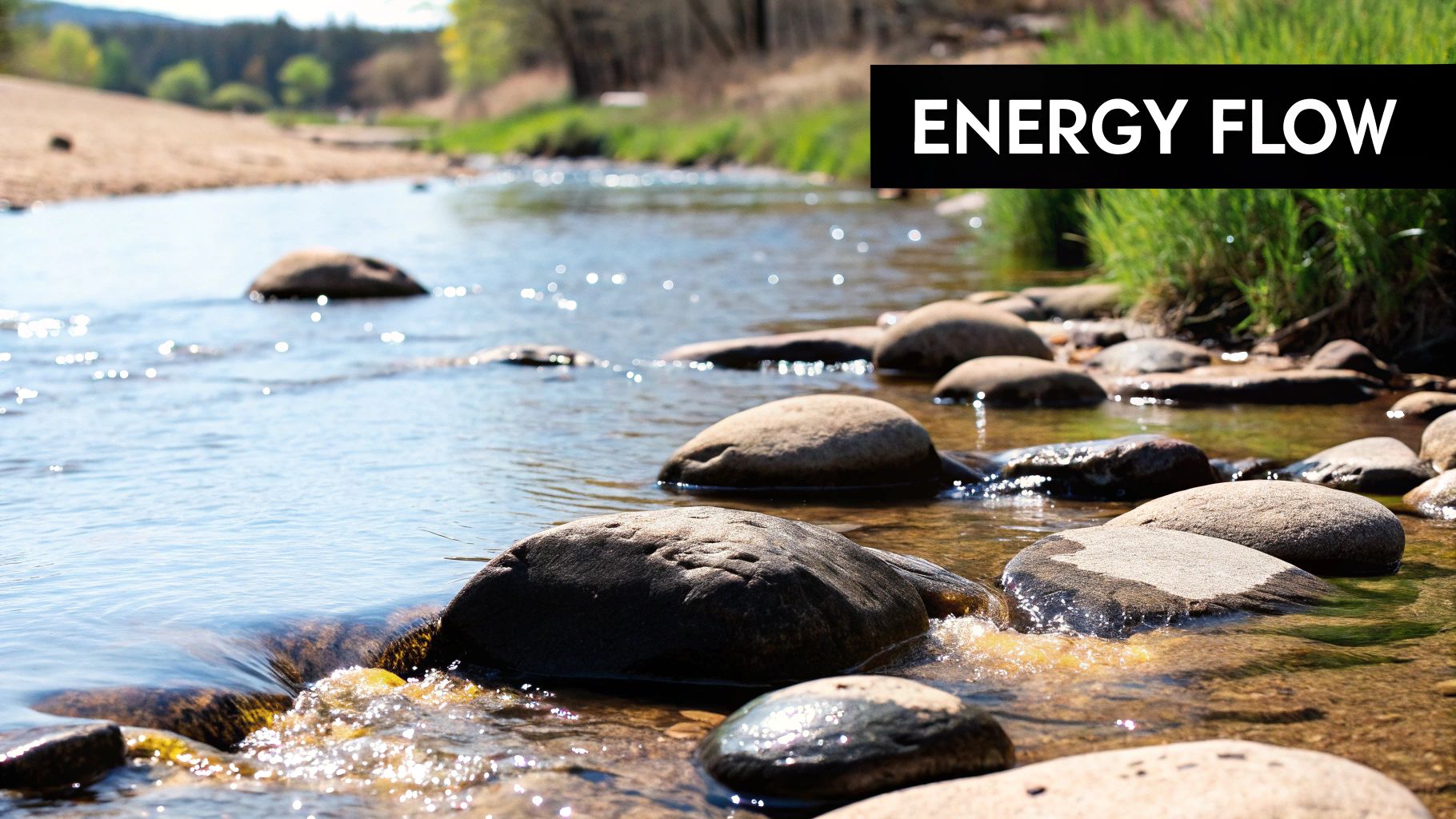A serene image of hands gently placed over a person, symbolizing the flow of Reiki energy.