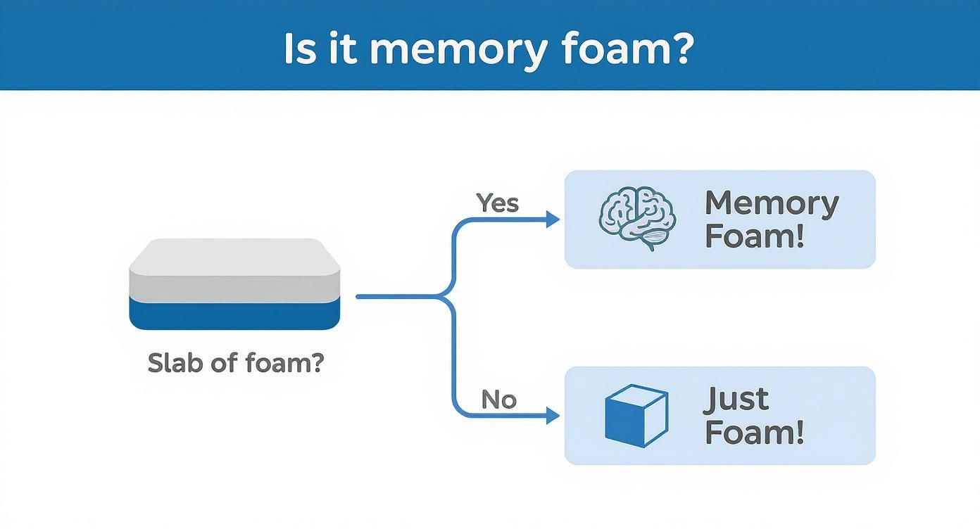 An infographic decision tree asking 'Slab of foam?' which leads to 'Responds to you?'. A 'Yes' path points to 'Memory Foam!' with a brain icon, and a 'No' path points to 'Just Foam!' with a block icon.
