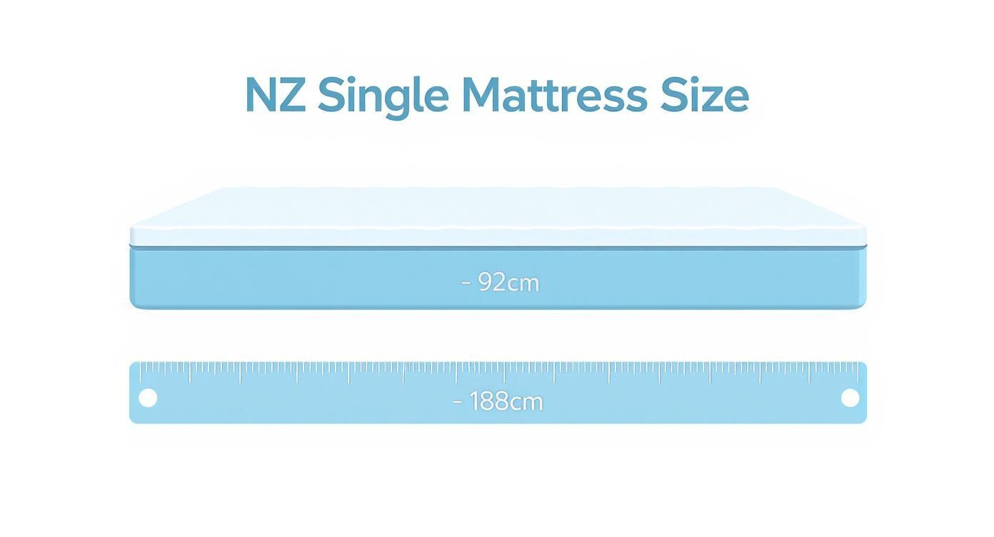 Infographic about single mattress size