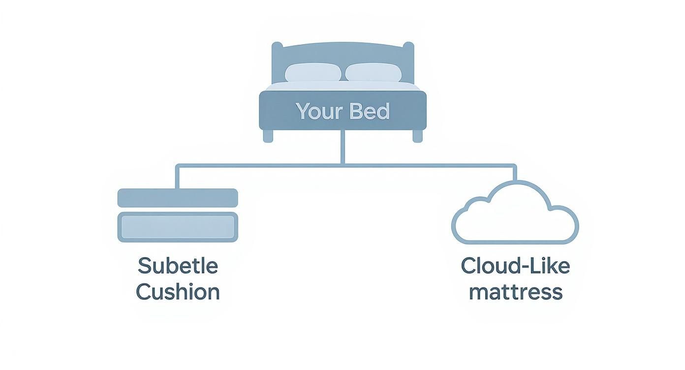 Diagram illustrating bed comfort choices: a subtle cushion or a cloud-like mattress for your bed.