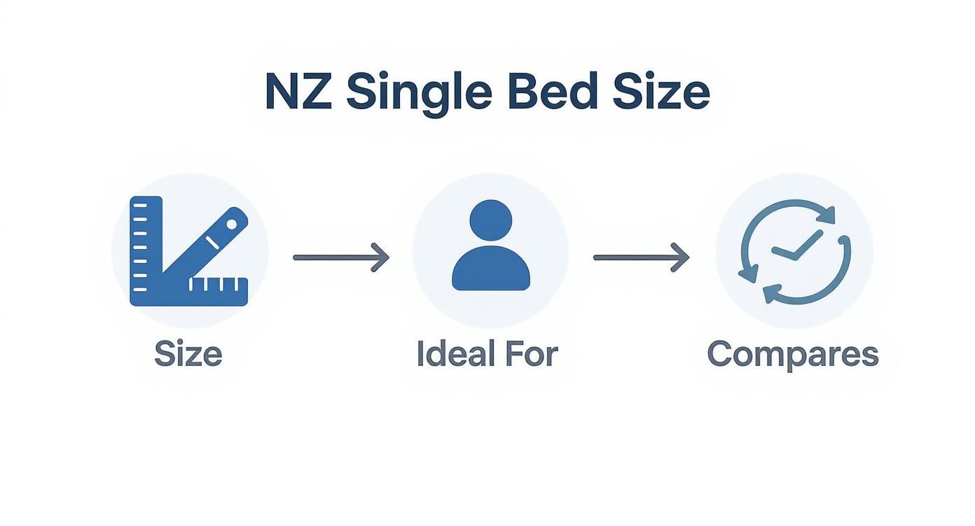 A diagram illustrating NZ single bed size details: dimensions, ideal users, and comparative aspects.