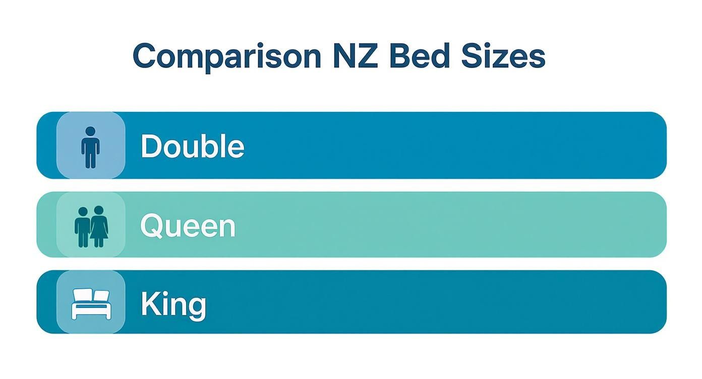 Infographic about what size is a queen mattress
