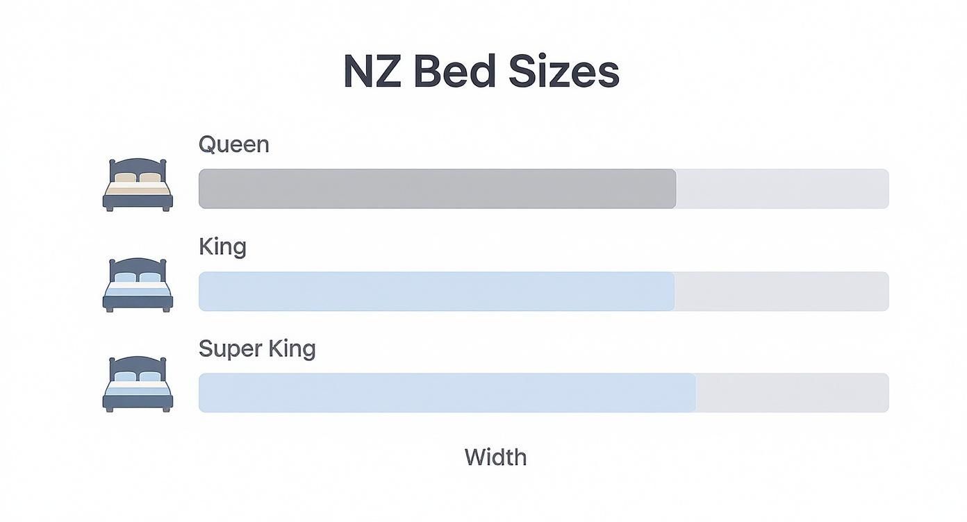 Infographic showing the relative widths of Queen, King, and Super King beds in New Zealand.