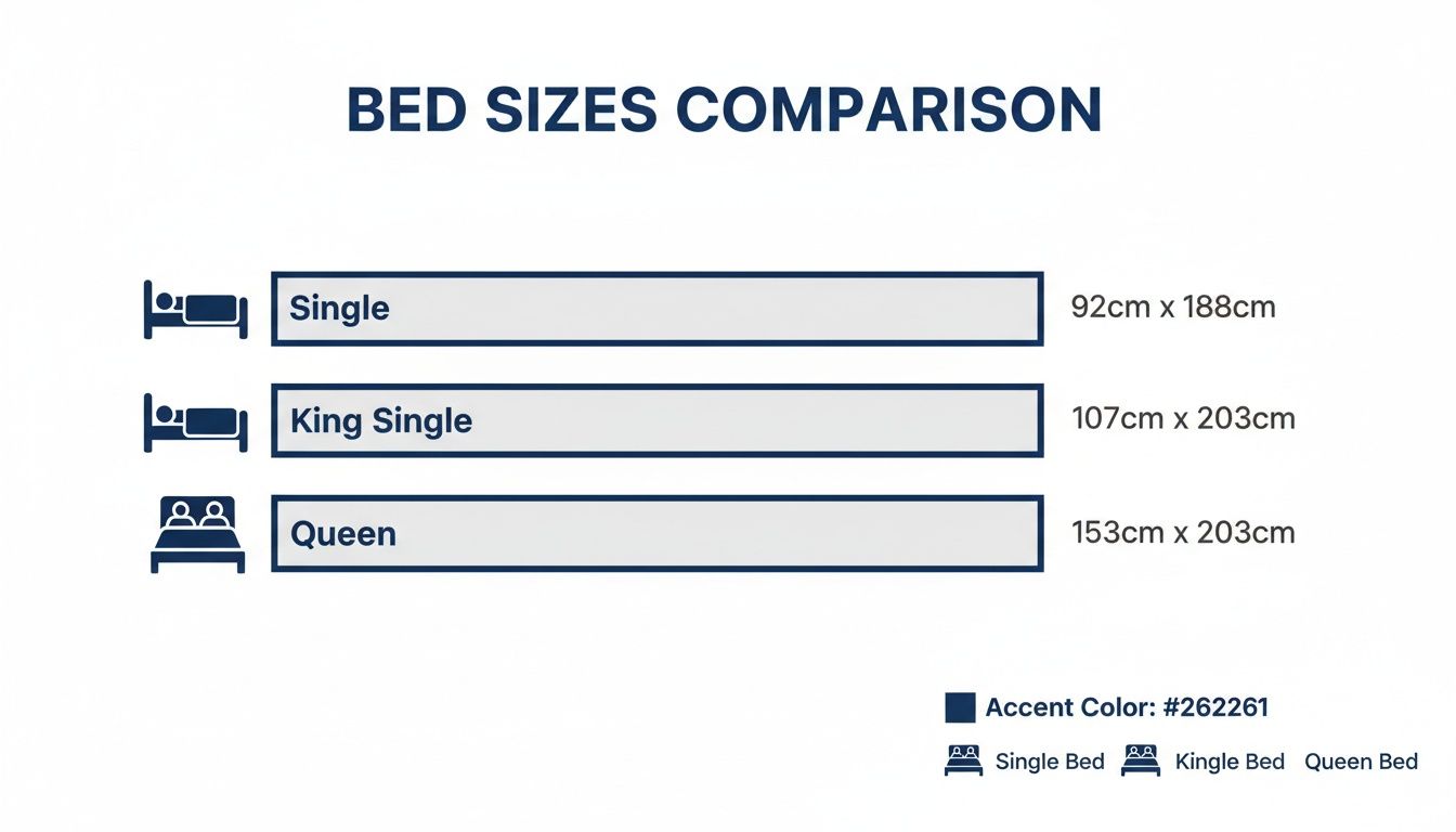 A chart comparing bed sizes: Single (92cm x 188cm), King Single (107cm x 203cm), and Queen (153cm x 203cm).