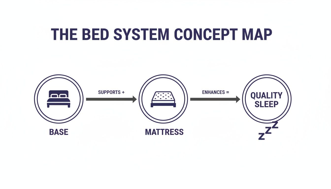 A bed system concept map showing a base supports a mattress, which enhances quality sleep.