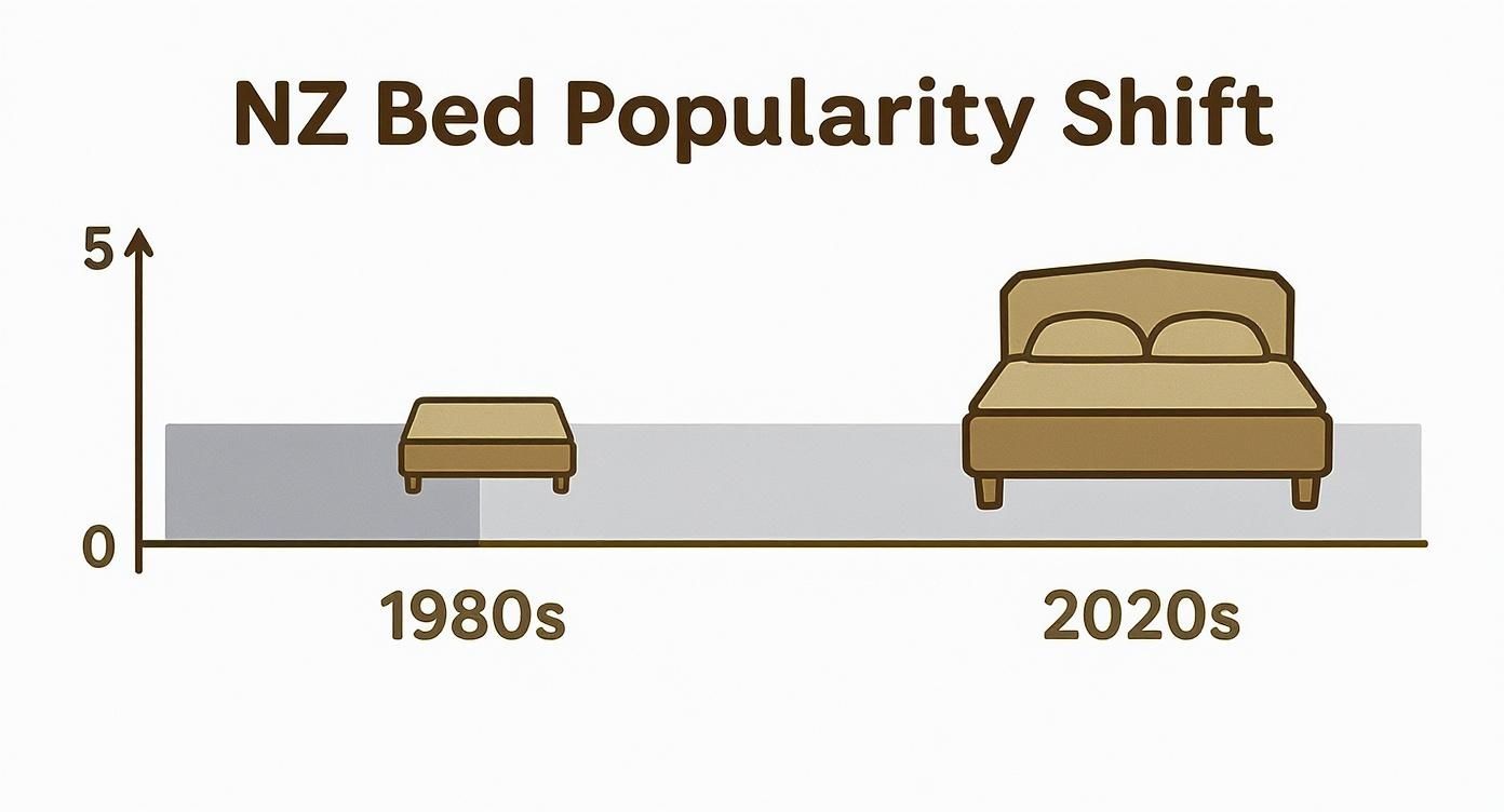 Infographic bar chart showing the shift from smaller beds in the 1980s to larger beds in the 2020s in New Zealand.