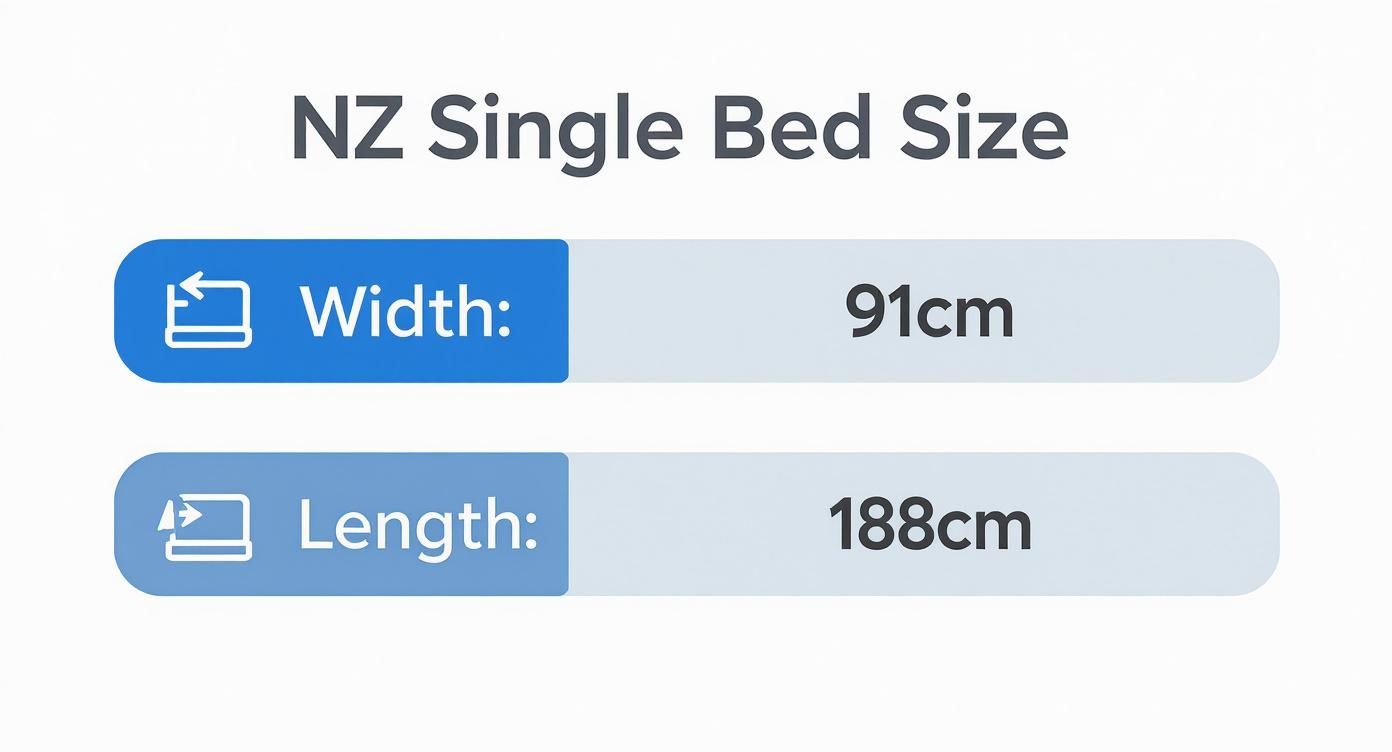 Infographic showing New Zealand single bed dimensions: 91cm width and 188cm length.
