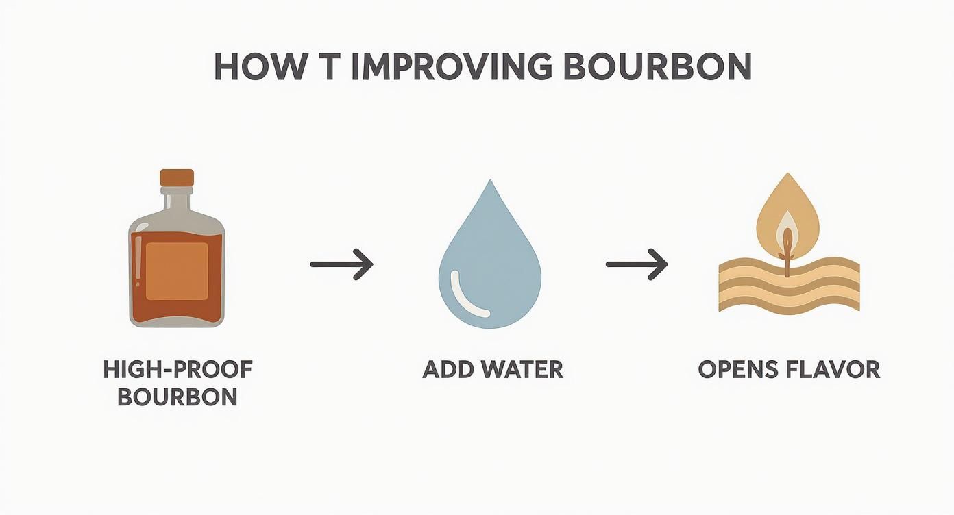 Infographic about water for bourbon