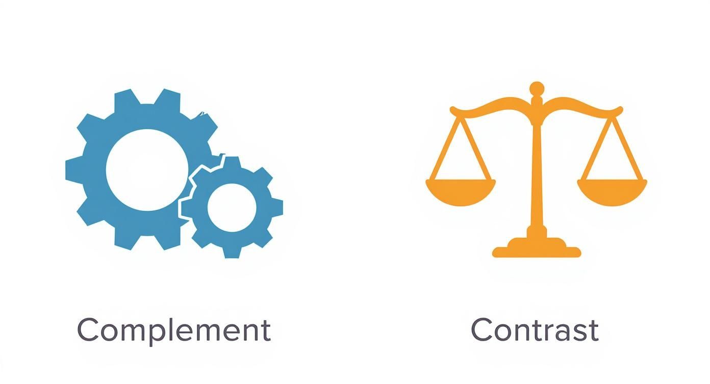 Infographic about pairing whisky with food