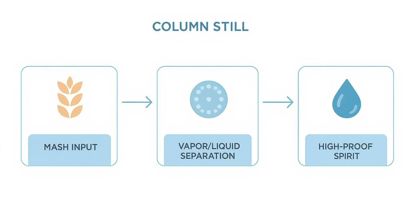 Column still distillation process diagram showing mash input, vapor liquid separation, and high-proof spirit output stages
