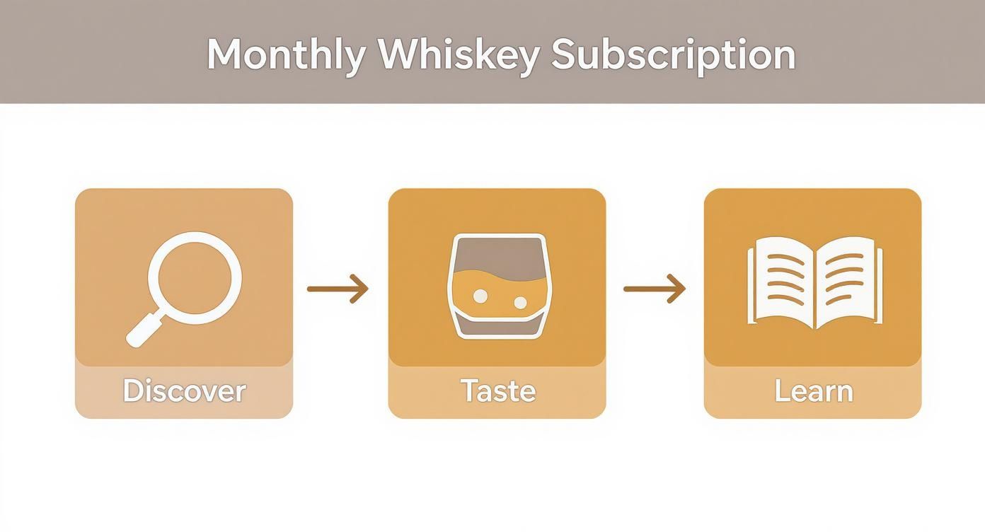 A visual guide illustrating three steps for a monthly whiskey subscription: Discover, Taste, Learn.