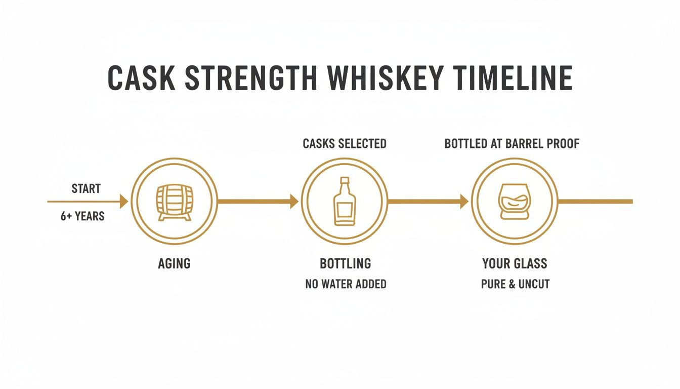 Timeline infographic illustrating the journey of cask strength whiskey, from aging over 6 years to bottling and serving pure.