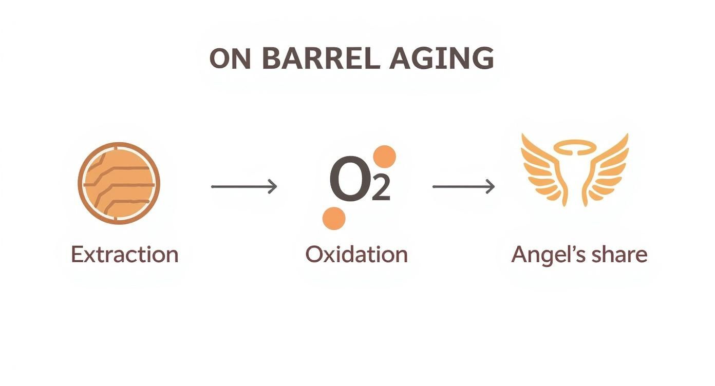 Infographic about barrel aging whiskey