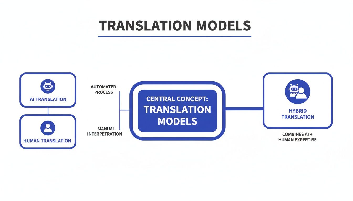 Stroomschema dat vertaalmodellen illustreert, waarbij onderscheid wordt gemaakt tussen AI, menselijke en hybride vertaalmethoden.