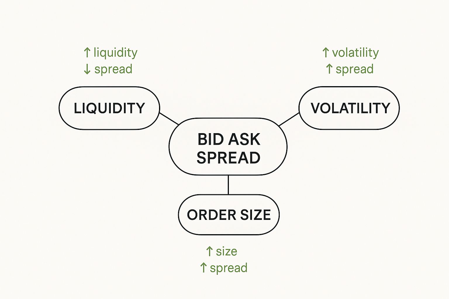 Infographic about what is bid ask spread