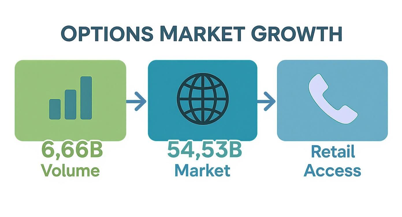 Infographic about how to learn to trade options