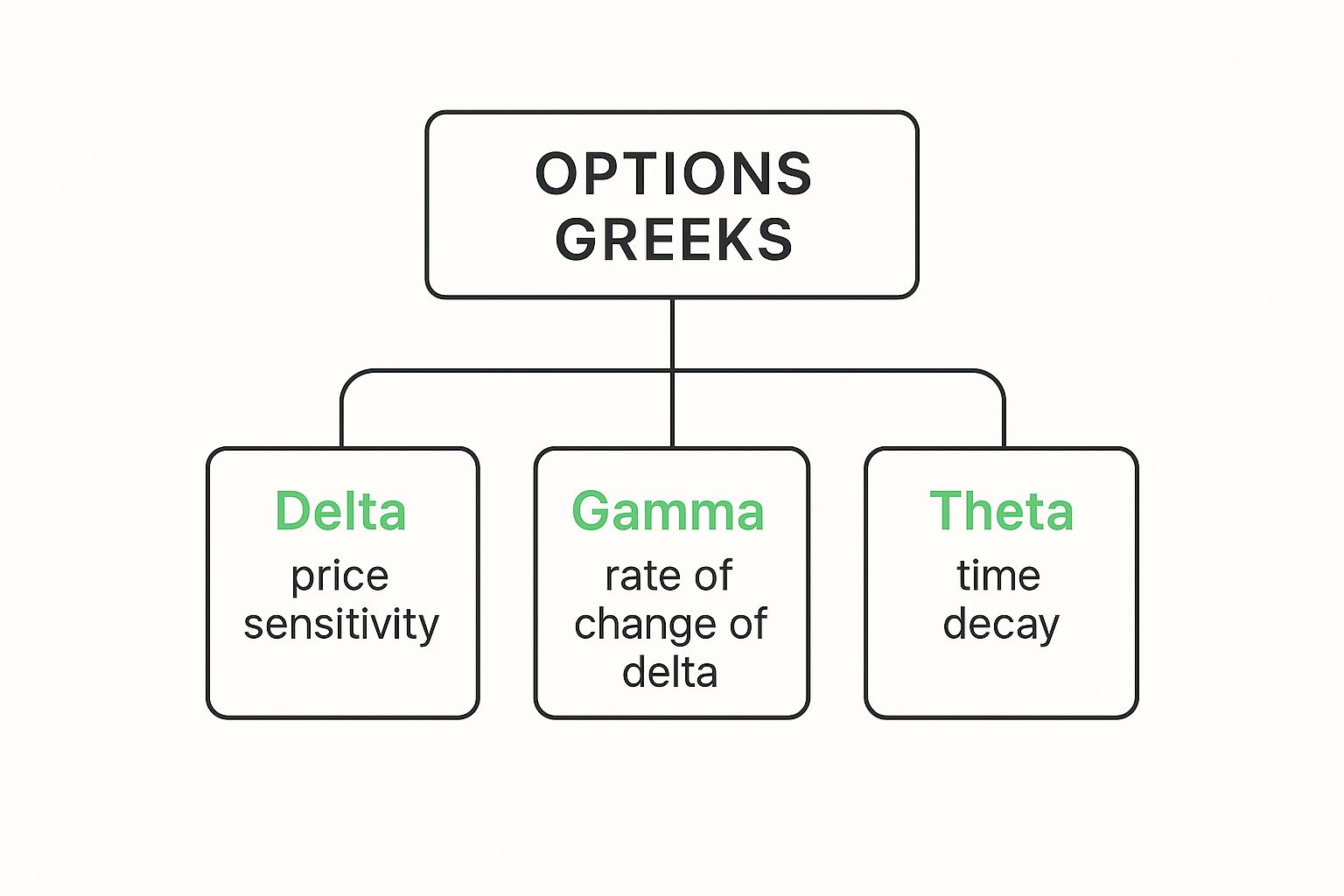 Infographic about options trading greeks