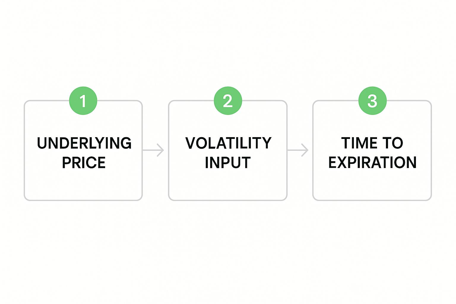 An infographic showing the factors that influence an option's premium, including stock price, volatility, and time.