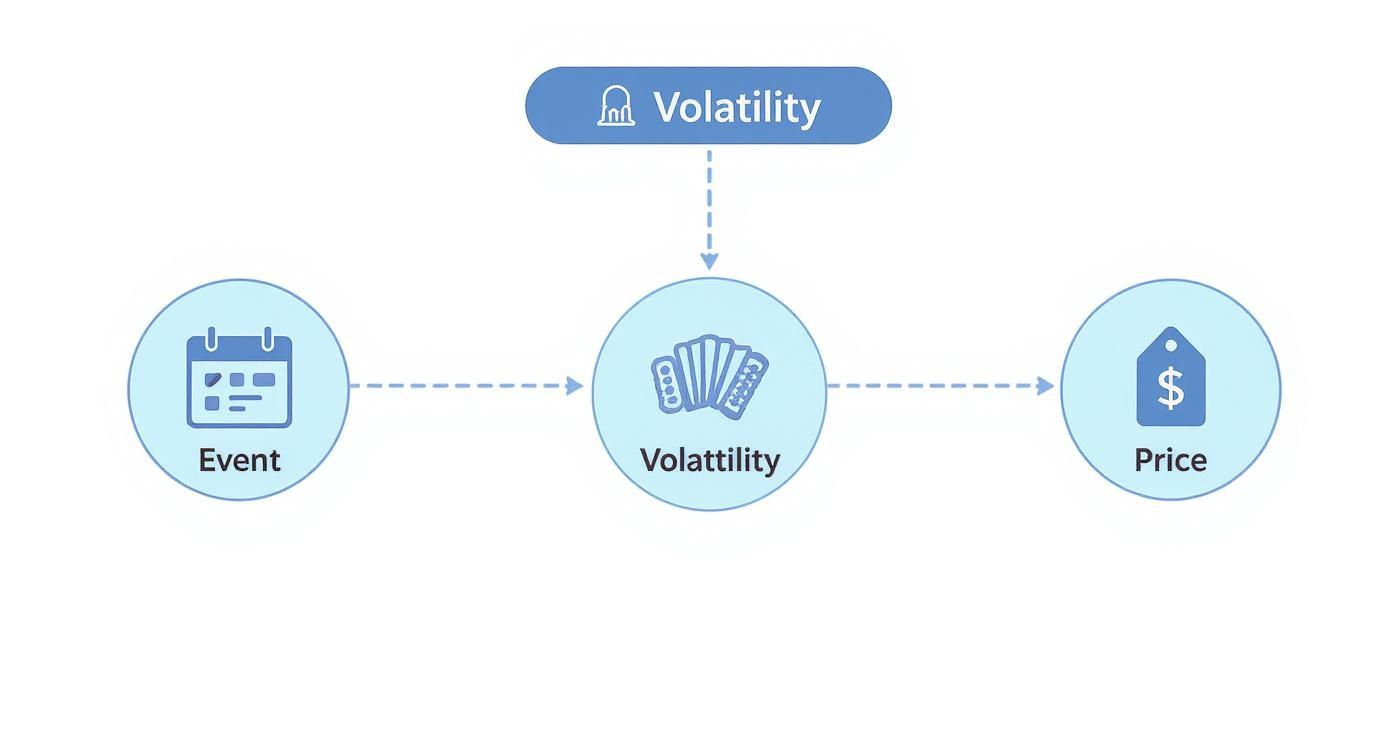 Infographic about options the greeks explained