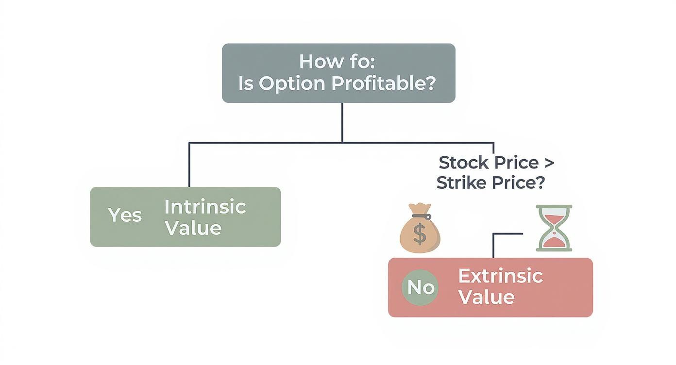Infographic about valuation of options