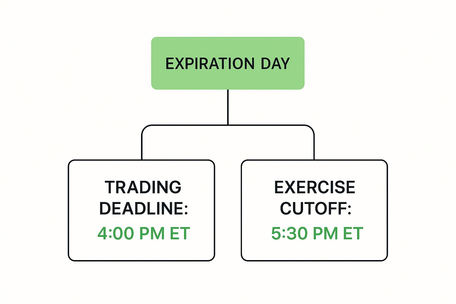 Infographic about what time do options expire