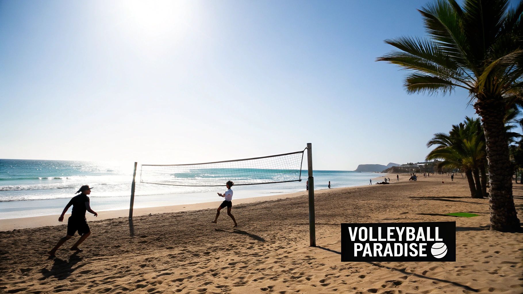 Two people playing beach volleyball on a sunny sandy beach with ocean waves and palm trees.
