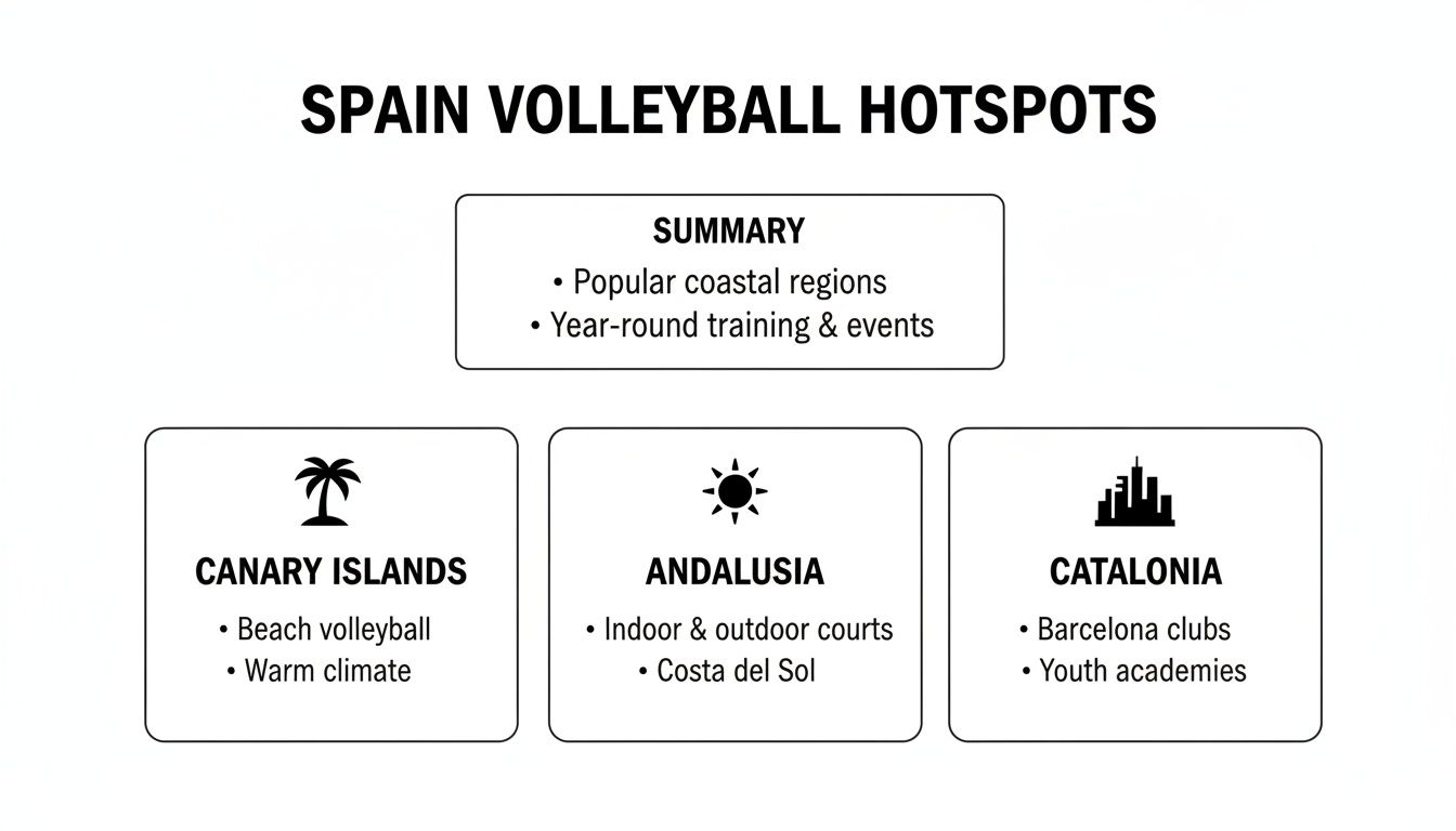 Infographic showing Spain's top volleyball hotspots, including Canary Islands, Andalusia, and Catalonia, with features.