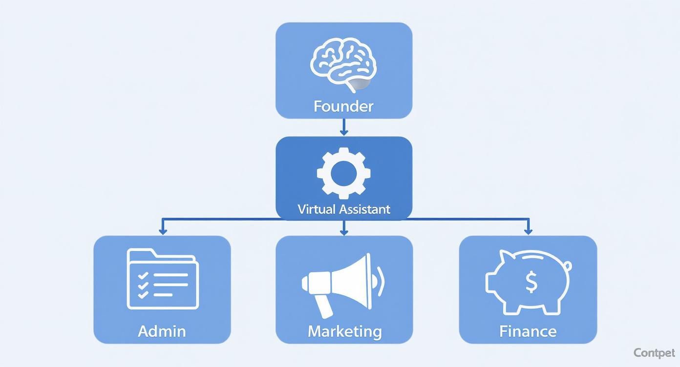 Infographic about virtual assistant for small business
