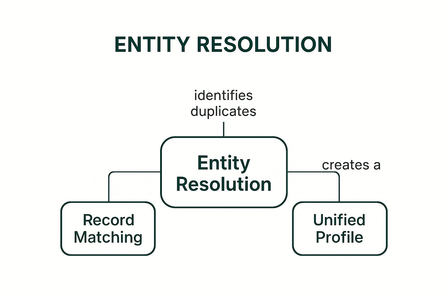 Infographic showing key data about Record Linkage and Entity Resolution