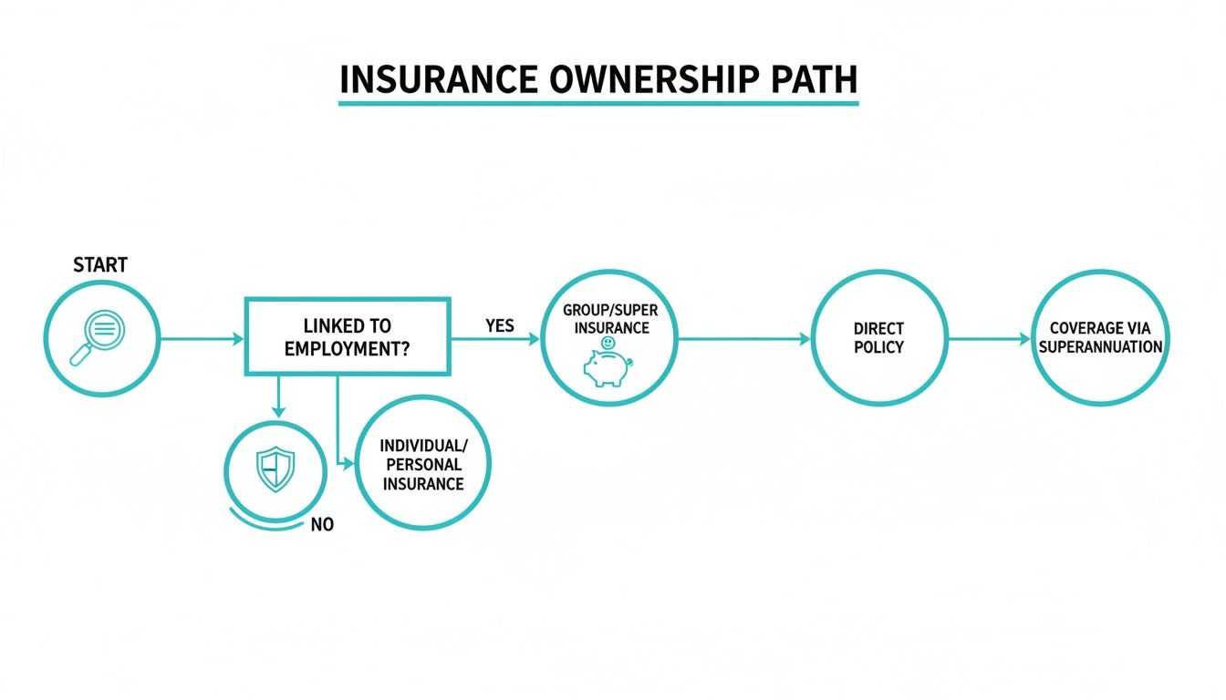 A detailed flowchart outlining the various paths to insurance ownership, including group, individual, and direct policies.