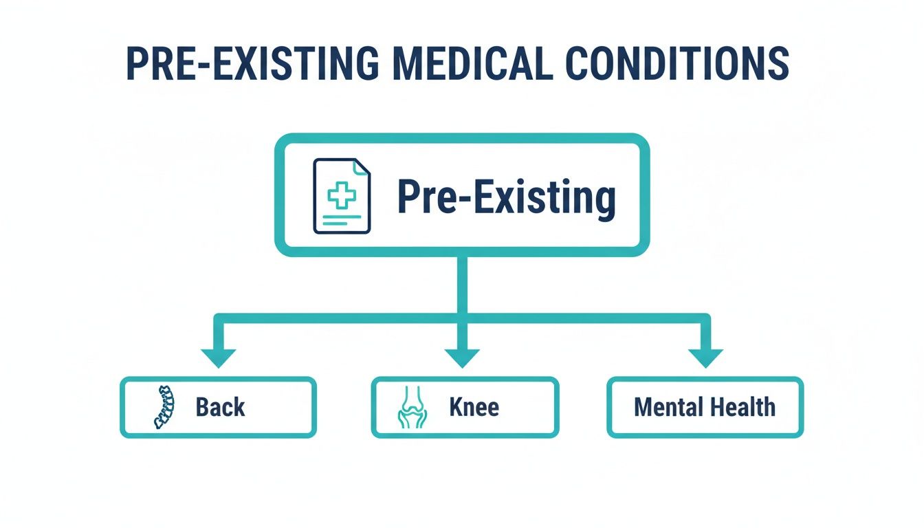 A flowchart outlining common pre-existing medical conditions such as back, knee, and mental health issues.