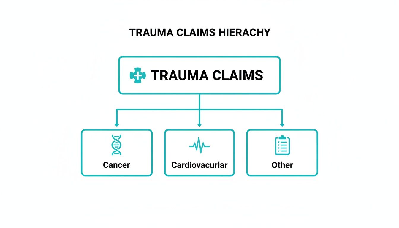 A hierarchy chart showing trauma claims categorized into Cancer, Cardiovascular, and Other conditions.